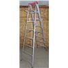 Image 2 : Metal Folding Ladder (7ft high)