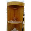 Image 1 : Corner shelf with light ( 28X28X78)