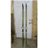 Image 1 : pair of skan ii cross country skis