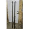 Image 5 : pair of skan ii cross country skis