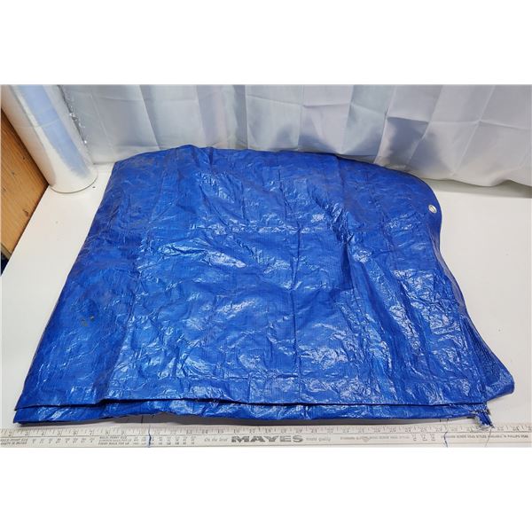 Blue Tarp - unsure on size