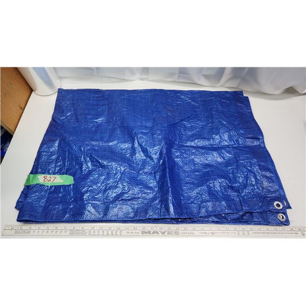 6x8' blue tarp