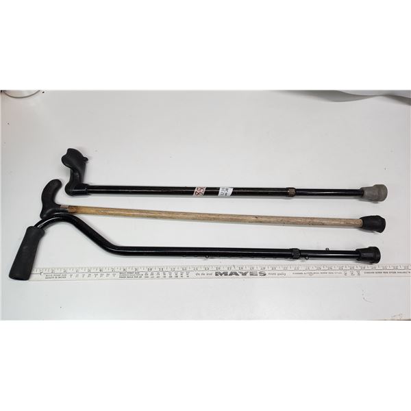 3 Assorted canes, 2 adjustable and 1 wood