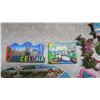 Image 2 : lot of assorted fridge magnets and PEI wall decoration
