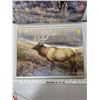 Image 2 : Two 12" X 16" prints with chrome frames  - Elk, Sharp Tail Grouse