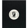 Image 2 : 2012 $20  99.99 Silver Swimming polar bear coin  proof  look closely at the details in this coin