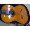 Image 3 : Acoustic Guitar in case