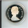 Image 3 : 1982 Regina Centennial Silver Dollar.  Popular bison skull. Proof with Ultra Heavy Cameo. Housed in 