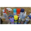 Image 2 : Assorted Fluids - Window Cleaner, Fuel Stabilizer, Lysol, Etc.
