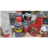 Image 3 : assorted fluids - round up, insecticide, wd-40, etc.