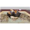 Image 2 : The Canadian Wilderness "Lunging Eagle" Picture
