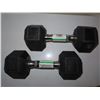 Image 2 : 2x 15lb dumbbell (GoZone)