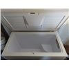 Image 4 : Frost Queen Freezer (42"L x 22"W x 35"H)