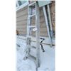 Image 2 : Step Ladder