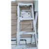 Image 4 : Step Ladder