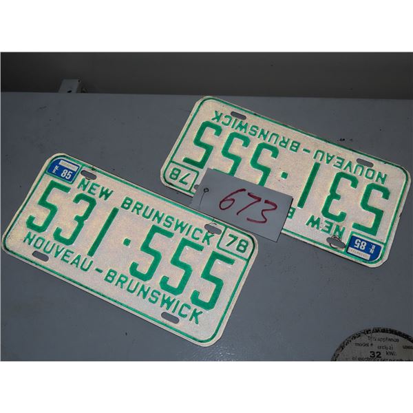 2 New Brunswick license plates with identical numbers