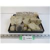 Image 1 : Items Found in Saskatchewan Petrified Forest