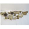 Image 2 : Items Found in Saskatchewan Petrified Forest