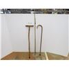 Image 1 : *(2) Canes - (2) Stakes