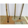 Image 3 : *(2) Canes - (2) Stakes