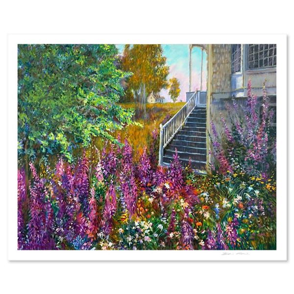 Forgotten Garden by Plisson, Henri