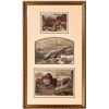 Image 2 : Colorado Scenery Illustrations [151139]