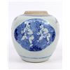 Image 1 : Chinese Blue Pot [159924]