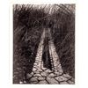Image 1 : Paul Strand "Driveway" Print, 1957 [159764]