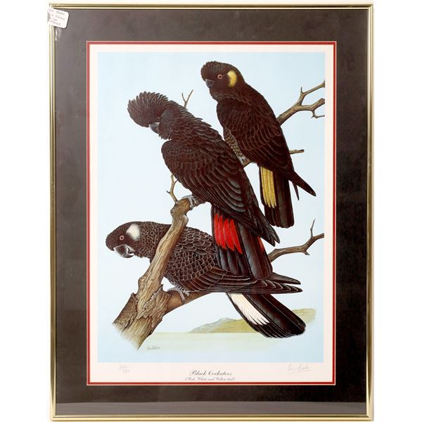 Beautiful Collection of Framed Bird Prints - 3 [135155]