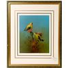 Image 2 : Beautiful Collection of Framed Bird Prints - 3 [135155]