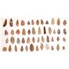 Image 1 : Points from Kay County, Oklahoma from the Bracken Collection [160049]