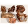 Image 1 : Petrified Wood, 14 Pounds [160503]
