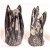 Image 2 : Orthoceras Carved and Polished Fossils, 9 [160592]