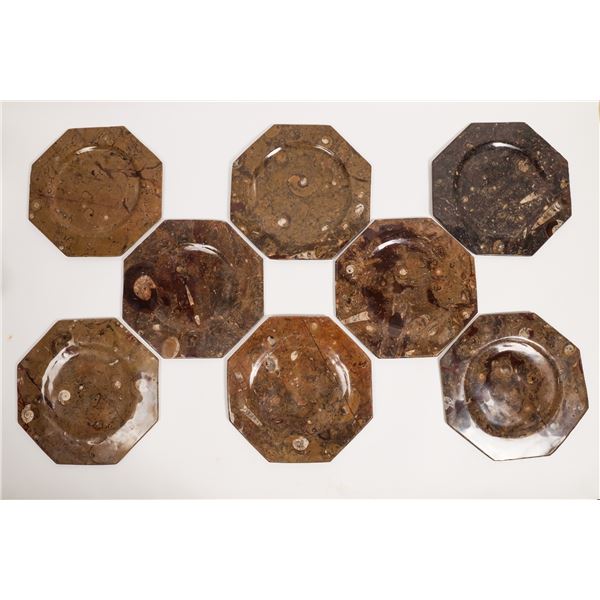 Polished Fossil Dinner Plates, 8 [160647]