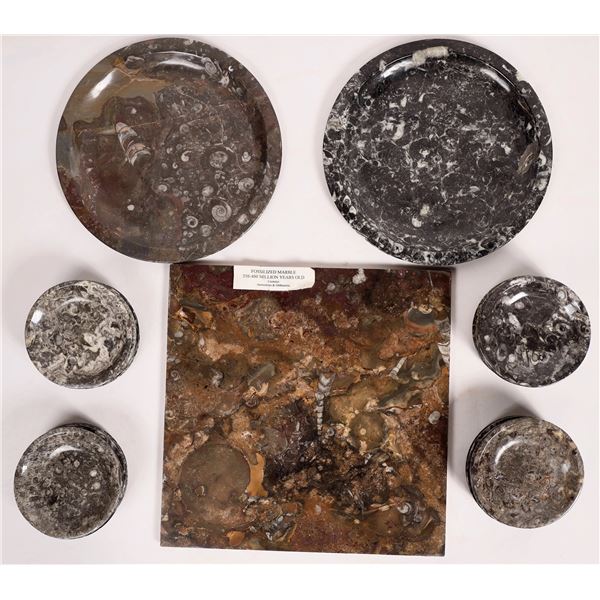 Polished Fossil Plates and Tile [159022]