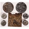 Image 1 : Polished Fossil Plates and Tile [159022]