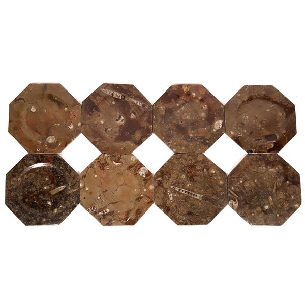 Polished Fossil Plates, 8 [160650]