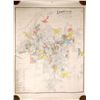 Image 1 : Map of the Leadville Mining District; 1901 [159446]