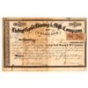 Image 1 : Liebig Gold Mining and Mill Company Stock [160610]