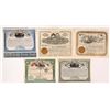 Image 1 : Cripple Creek, Colorado 1890s Mining Stock Certificates [155569]