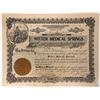 Image 1 : Witter Medical Springs Stock [159997]
