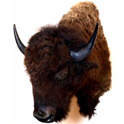 Large buffalo bull neck mount 26" tip to tip.