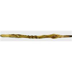 Early diamond willow walking stick