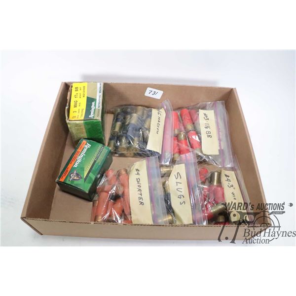 Selection of 12 gauge ammo including, ten 3" #2, seven 3" BB, ten 3" #4, eight 2 1/5" slugs, eightee