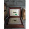 Image 1 : 2 Framed Green River Fossil Fish Formations