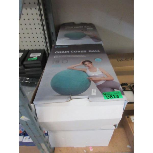 4 New Sport Shiny Yoga Balls with Pumps