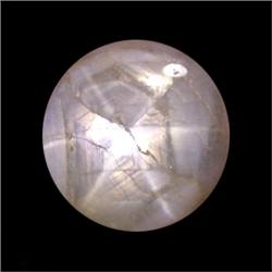 31.75ct Oval Cabochon Natural Gray 6 Ray Star Sapphire (GEM-11419)