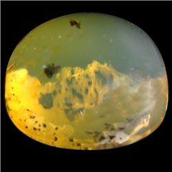 36.45ct AAA Ultra Rare 100% Natural Dandrite Fire Opal  (GEM-16251)