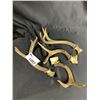 Image 1 : 4 ANTLERS