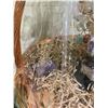 Image 2 : CRYSTAL TREE GIFT BASKET RETAIL $1,989